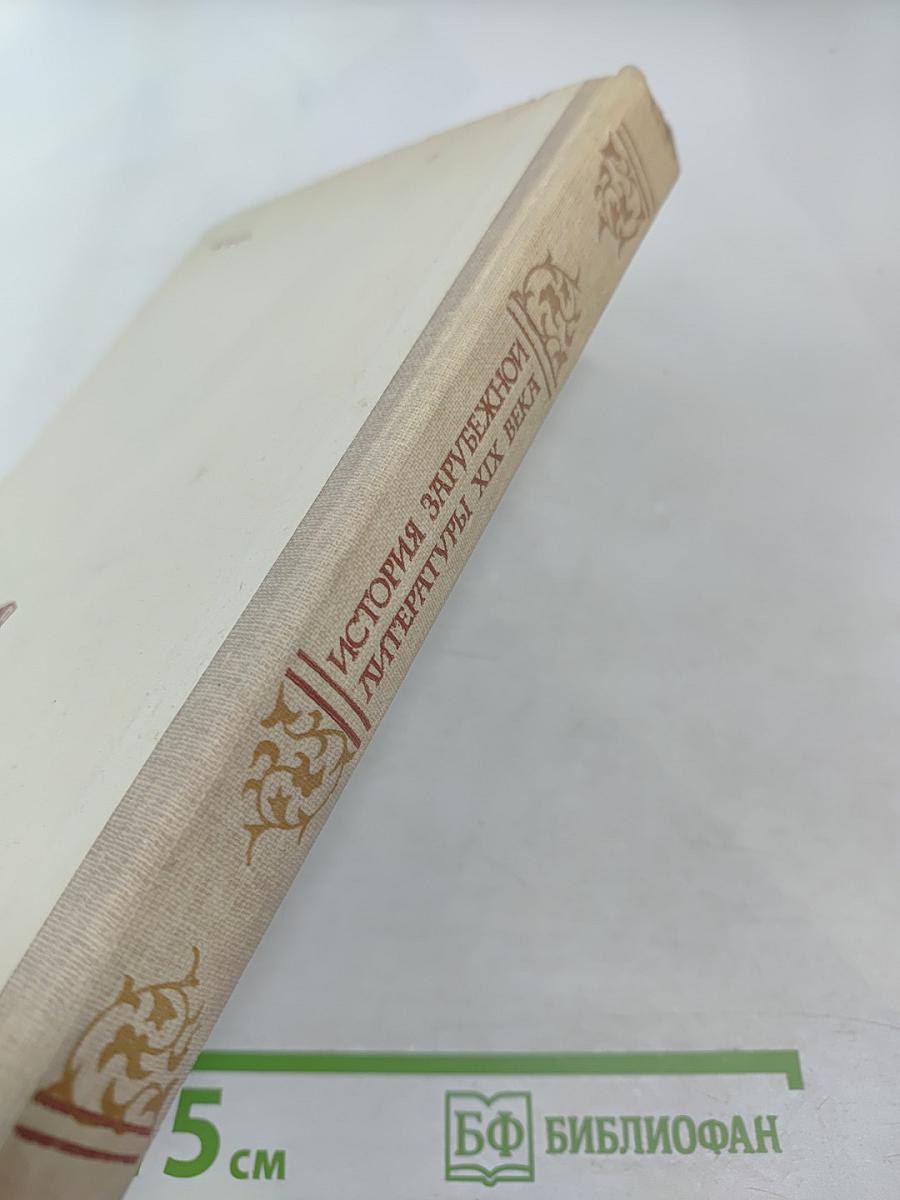 История зарубежной литературы XIX века