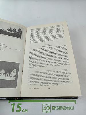 Записки современника. Дневник студента. Том 1