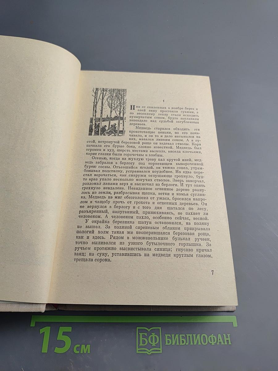 Северная корона. Обещание жить