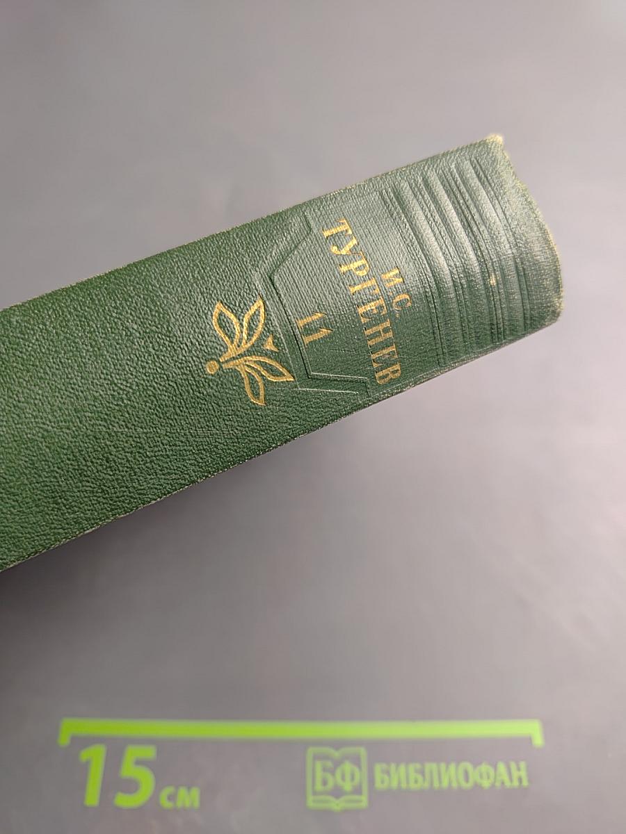 Собрание сочинений. Том одиннадцатый: Литературно-критические статьи и речи. Биографические очерки и заметки