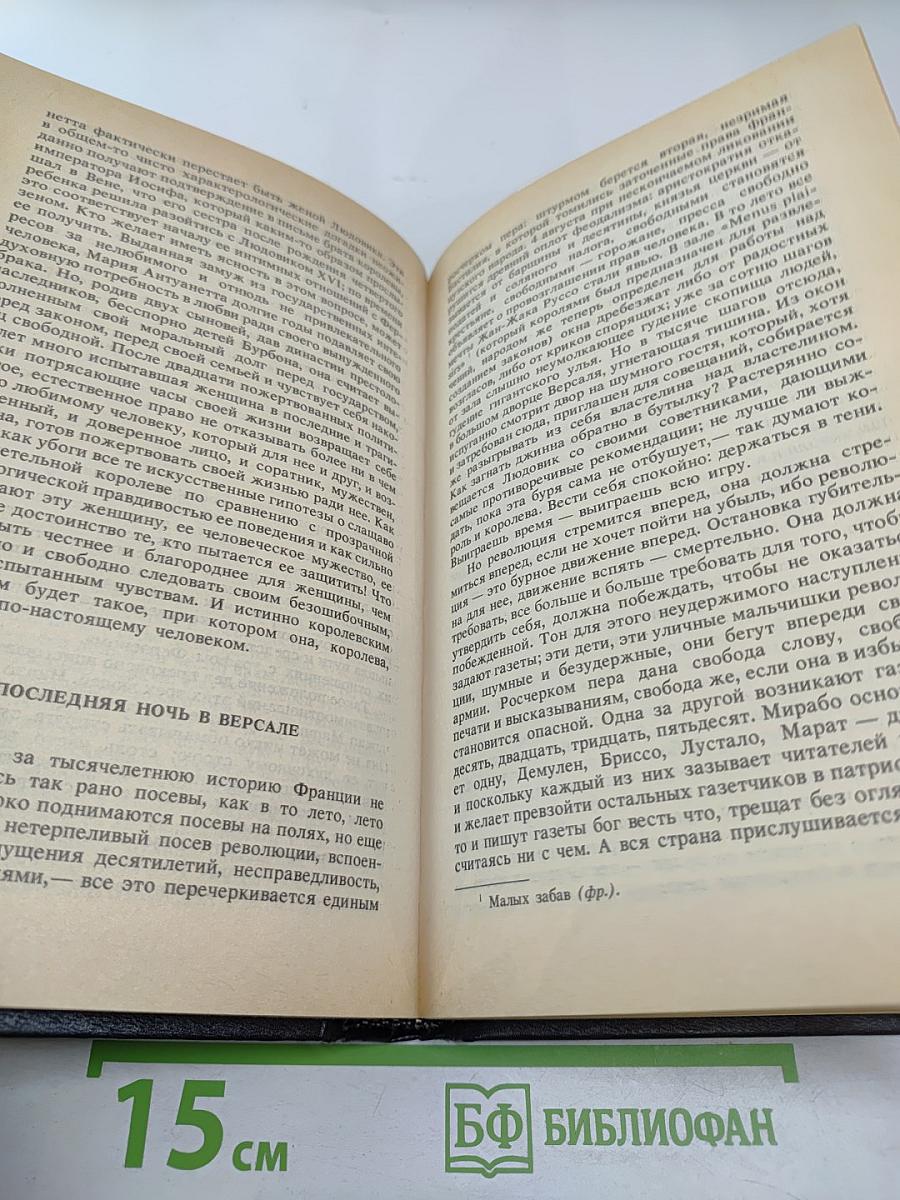 Мария Антуанетта. Портрет ординарного характера