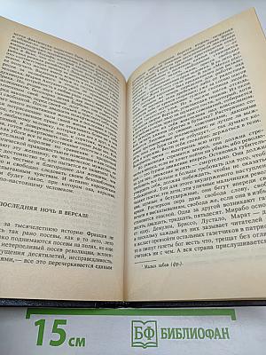 Мария Антуанетта. Портрет ординарного характера
