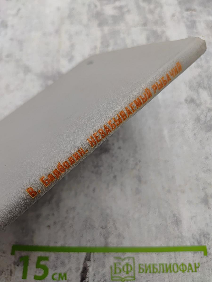 Незабываемый Рыбачий