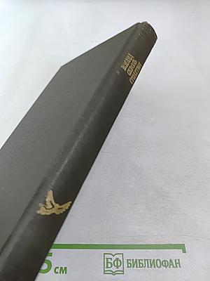 Взгляд сквозь столетия. Русская фантастика XVIII и первой половины XIX века