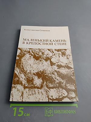 Маленький камешек в крепостной стене