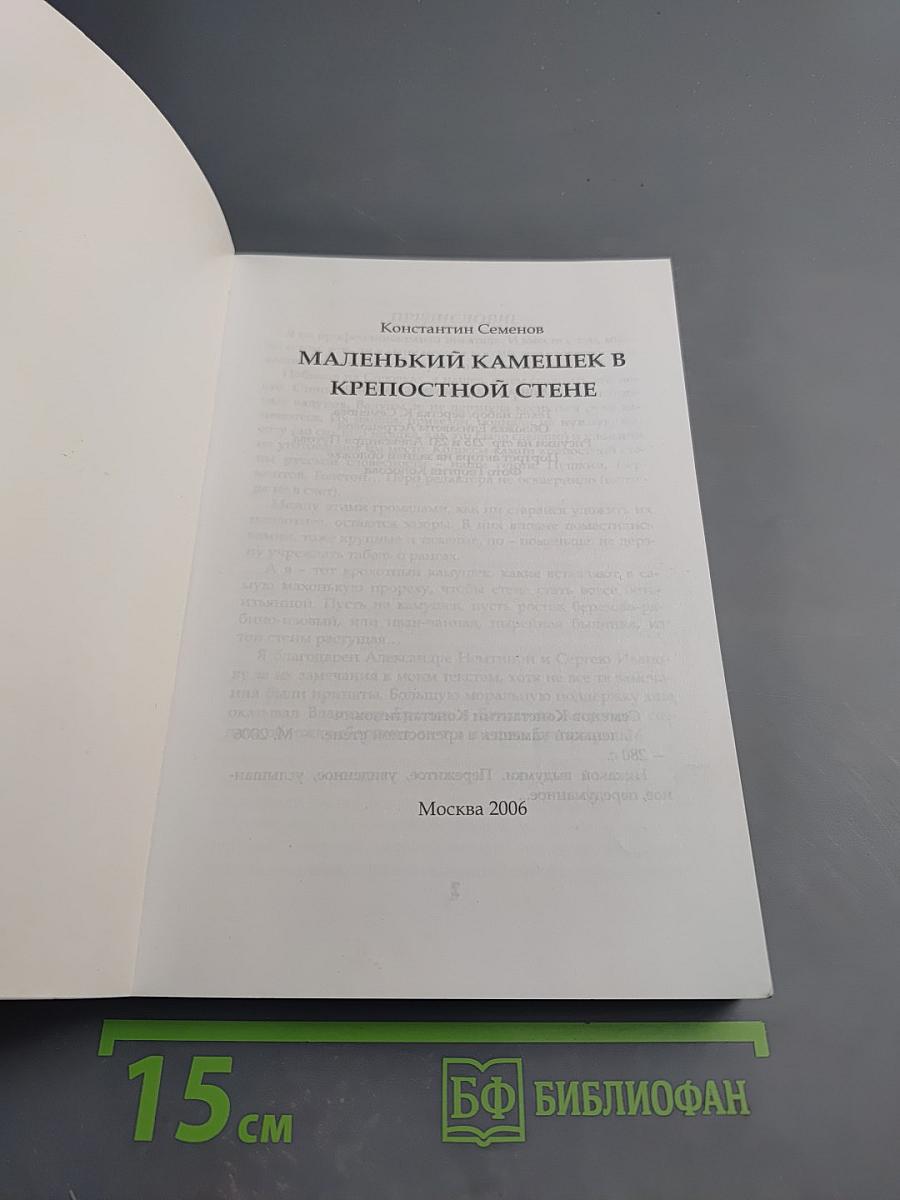 Маленький камешек в крепостной стене