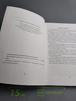 Маленький камешек в крепостной стене