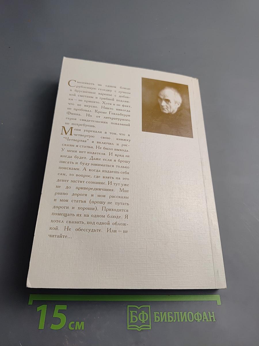 Маленький камешек в крепостной стене