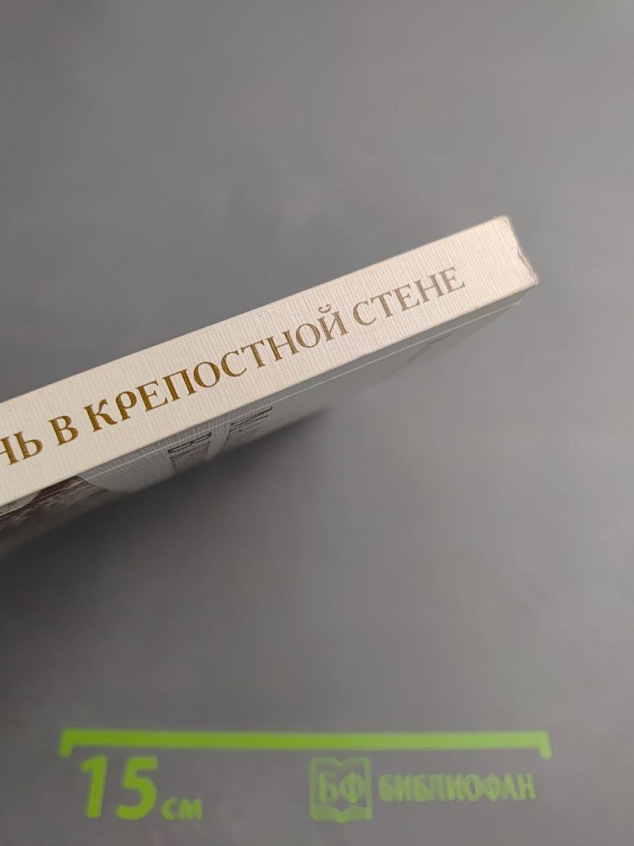 Маленький камешек в крепостной стене