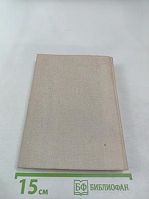 Ленин Товарищ, Человек