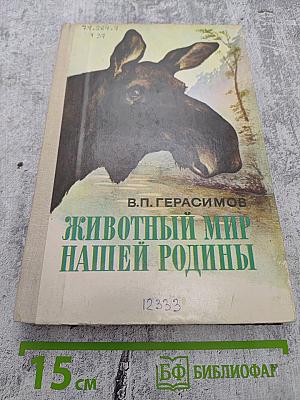Животный мир нашей Родины