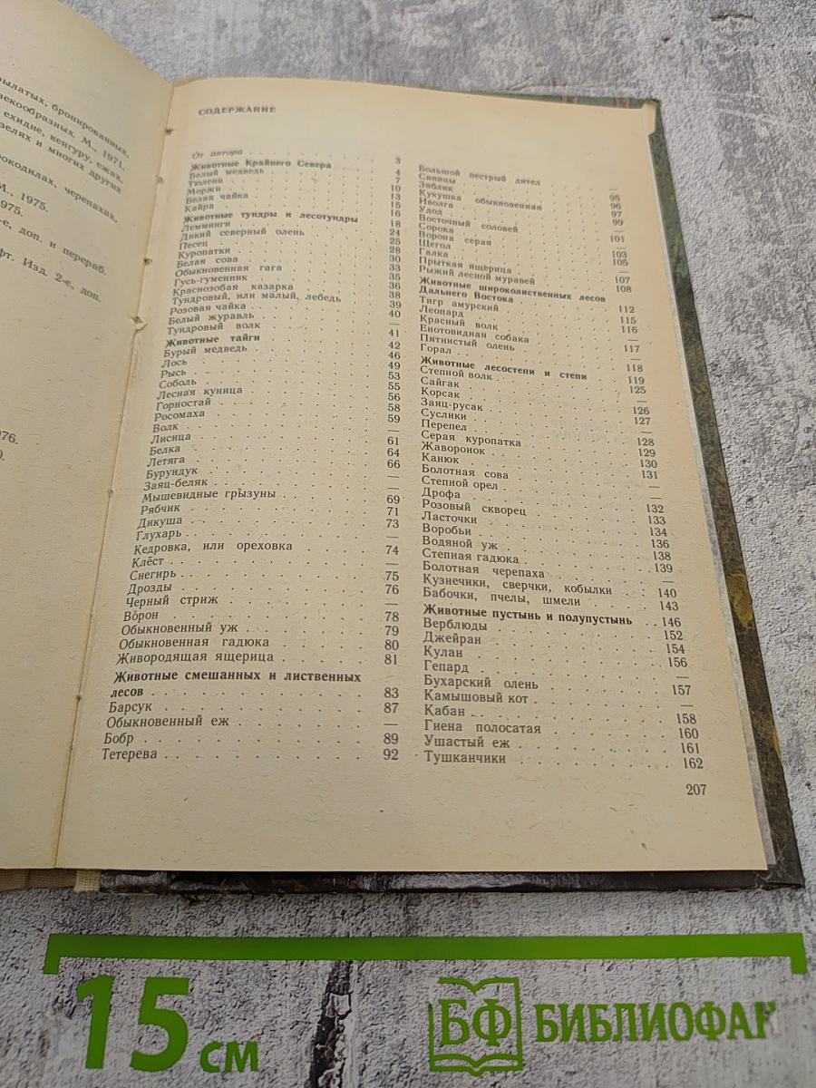 Животный мир нашей Родины