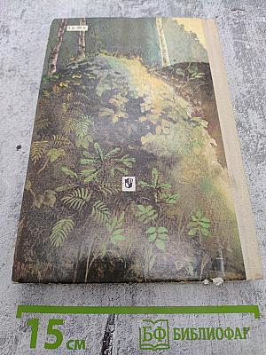 Животный мир нашей Родины