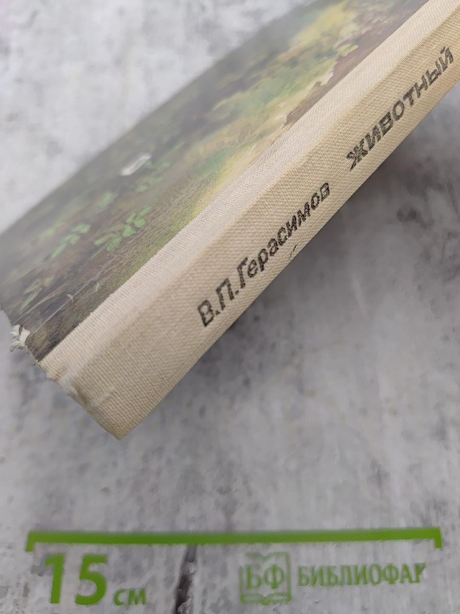 Животный мир нашей Родины