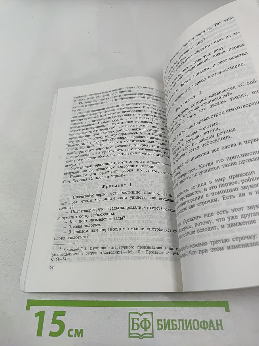 Методические основы языкового образования и литературного развития младших школьников