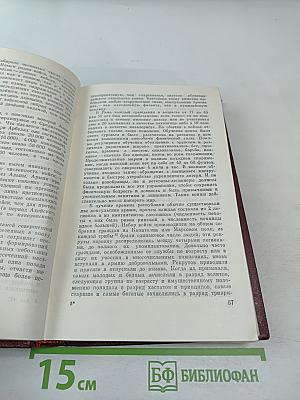 О войне и армии