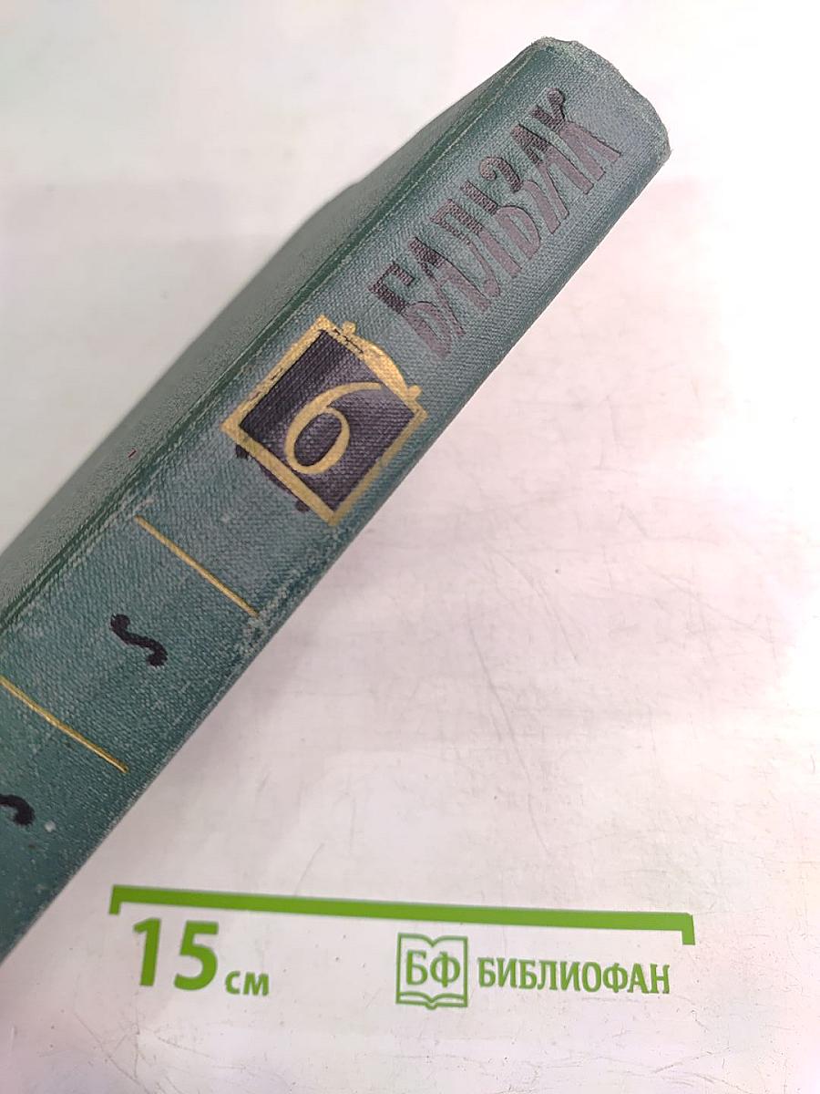 Собрание сочинений в 24 томах. Том 6. Человеческая комедия