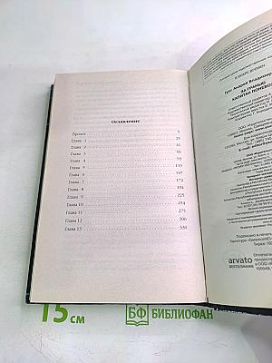 За гранью. Капитан поневоле