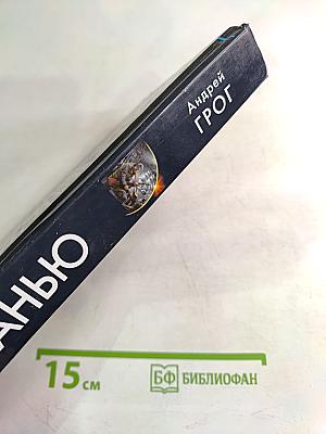 За гранью. Капитан поневоле