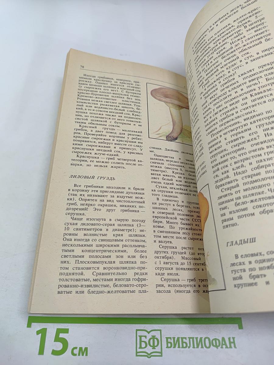 Дары русского леса