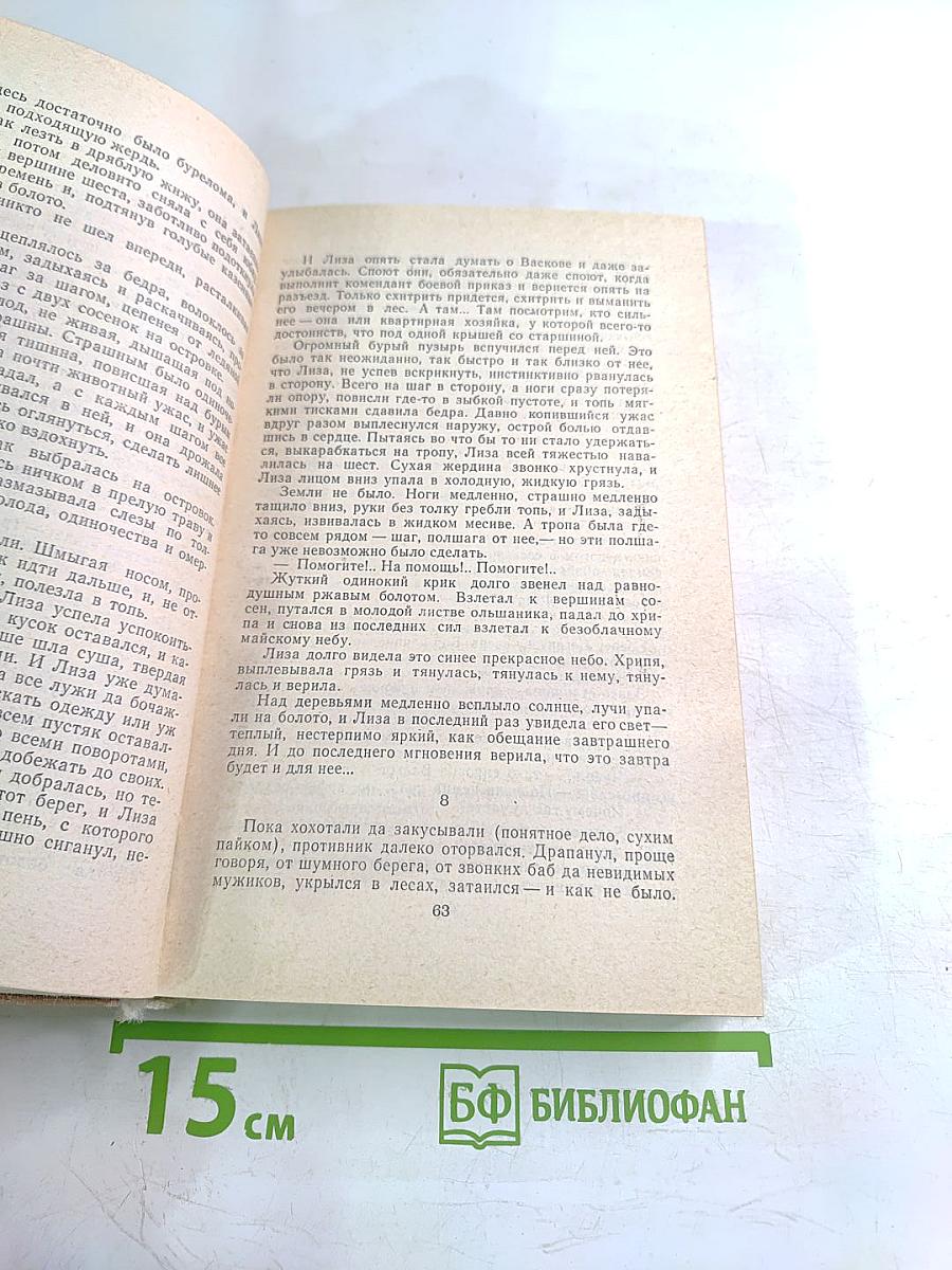 А зори здесь тихие...