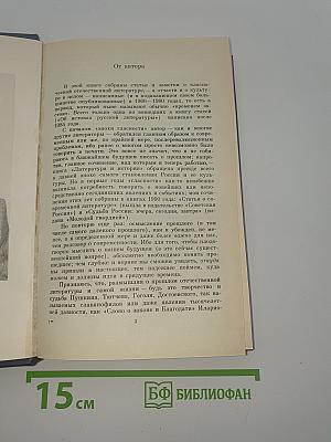 Размышления о русской литературе