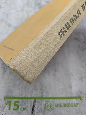 Живая вода: Сборник русских народных песен, сказок, пословиц, загадок