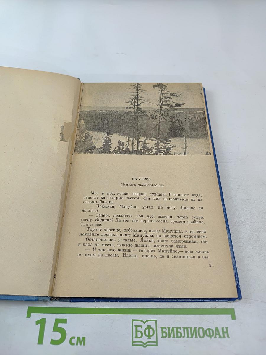 В краю непуганых птиц