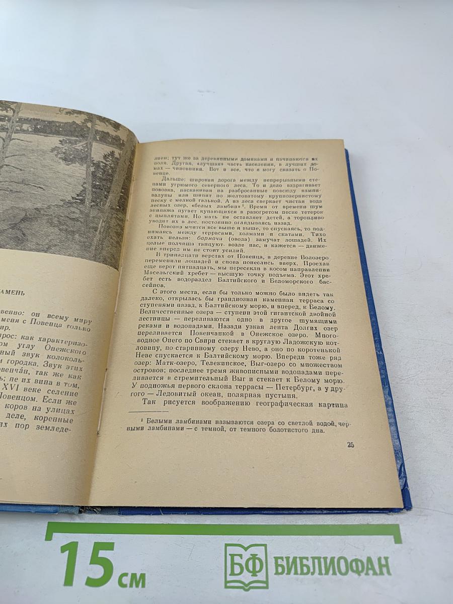 В краю непуганых птиц