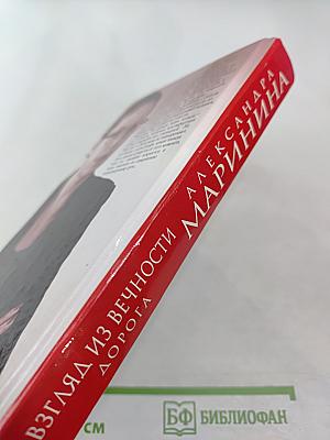 Взгляд из вечности. Книга вторая. Дорога