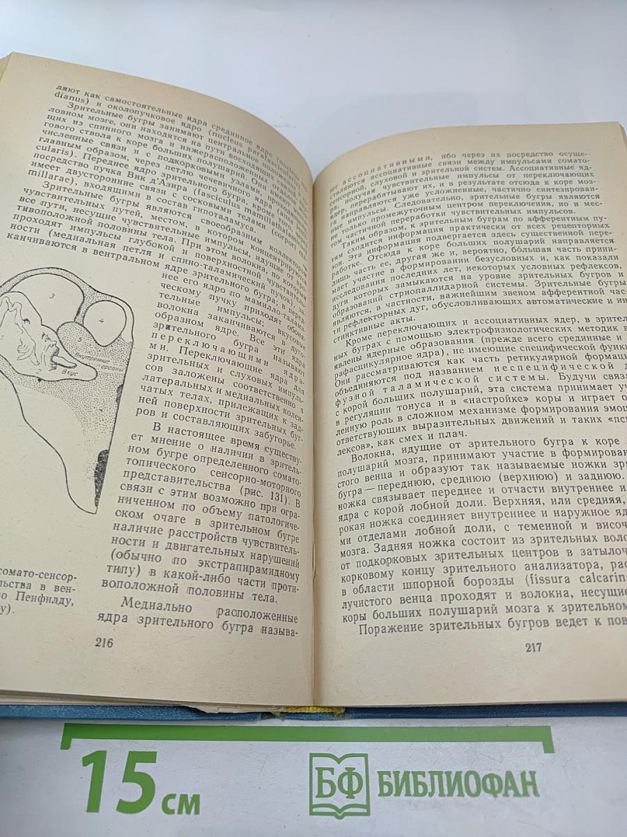 Пропедевтика нервных болезней