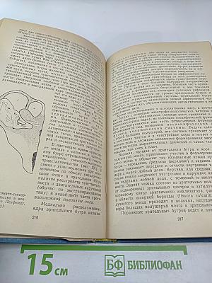 Пропедевтика нервных болезней