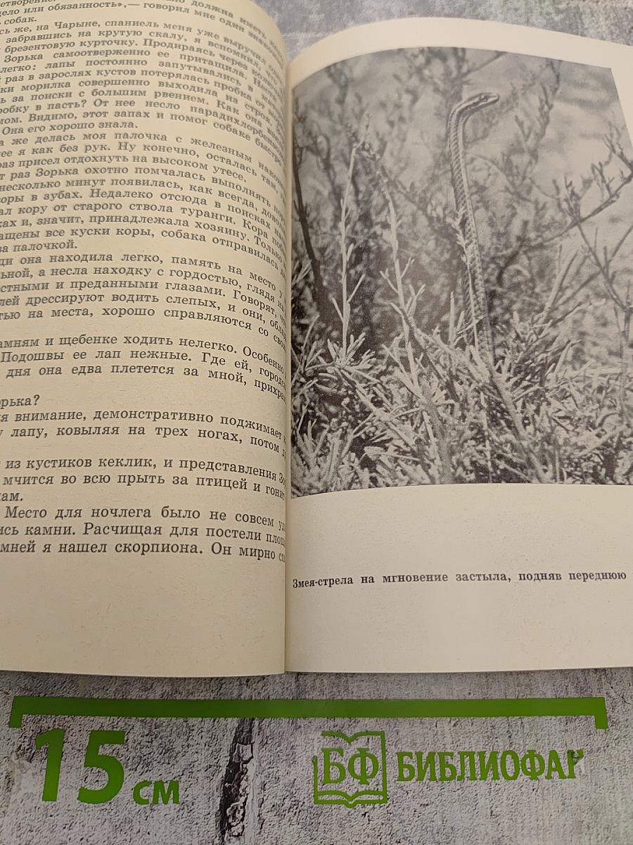 По Семиречью