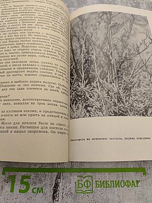 По Семиречью