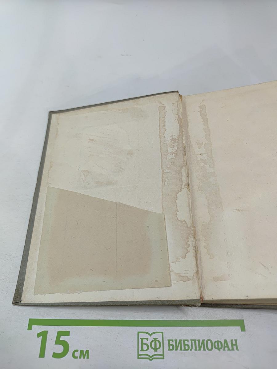 Музыканты наших дней