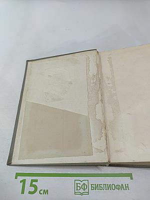 Музыканты наших дней