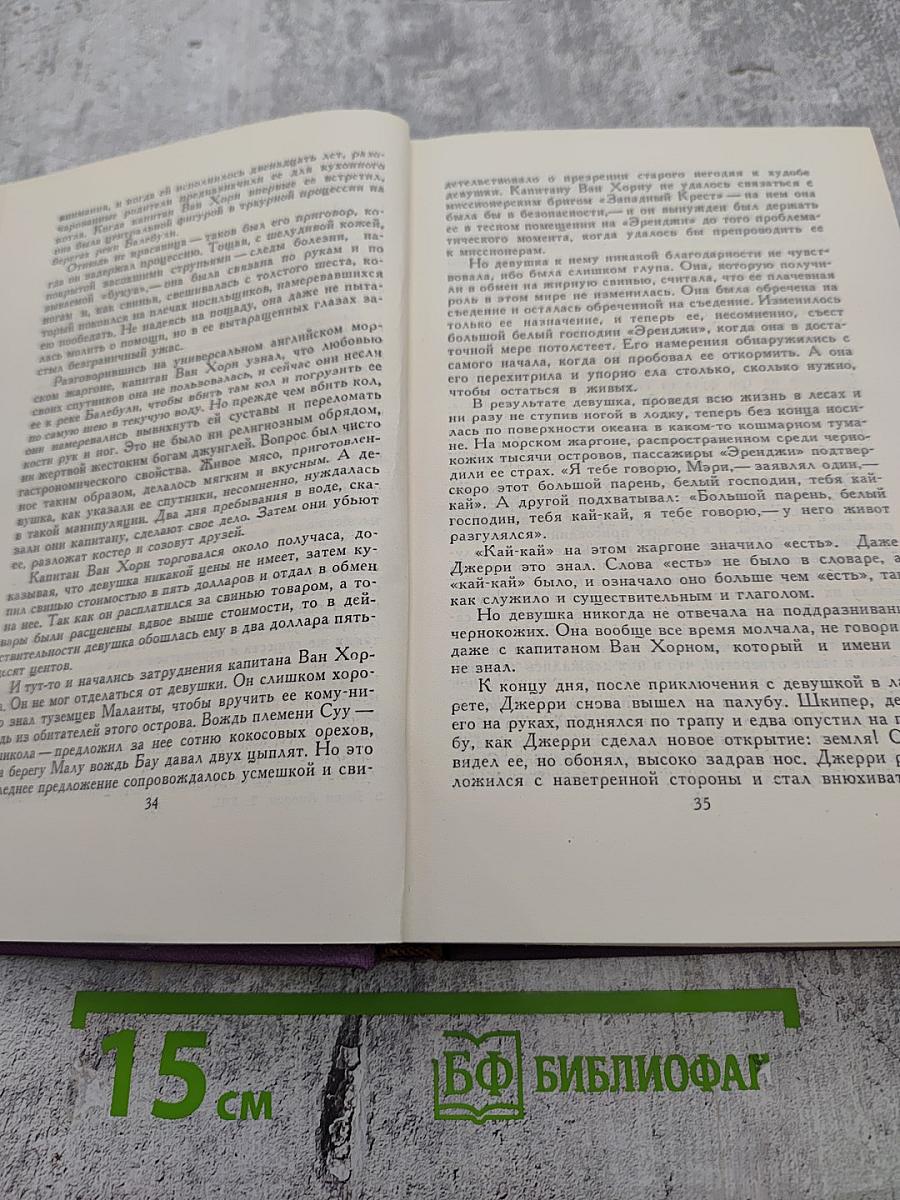 Собрание сочинений в четырнадцати томах. Том 13