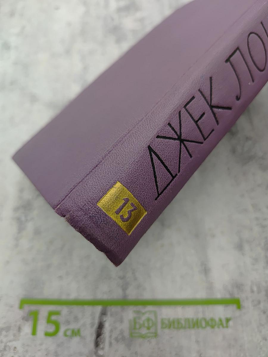 Собрание сочинений в четырнадцати томах. Том 13