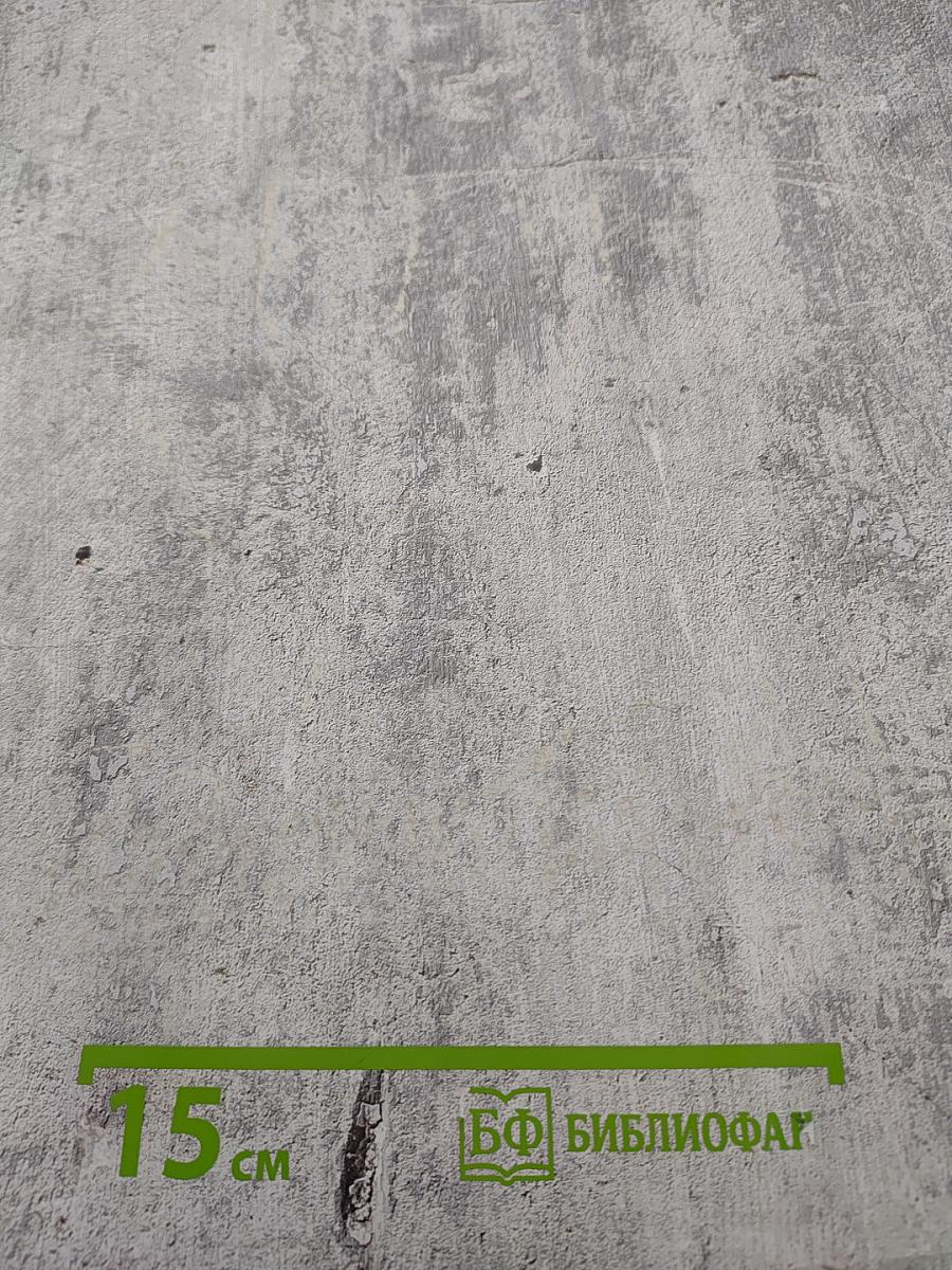 Собрание сочинений в четырнадцати томах. Том 13