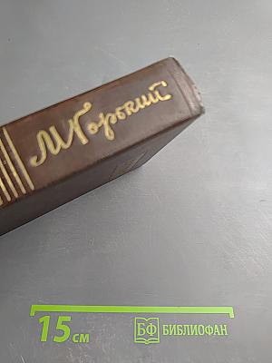 Полное собрание сочинений. Том девятый: Повести. 1907-1909