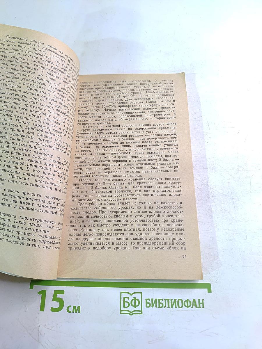 Заготовка и хранение плодов