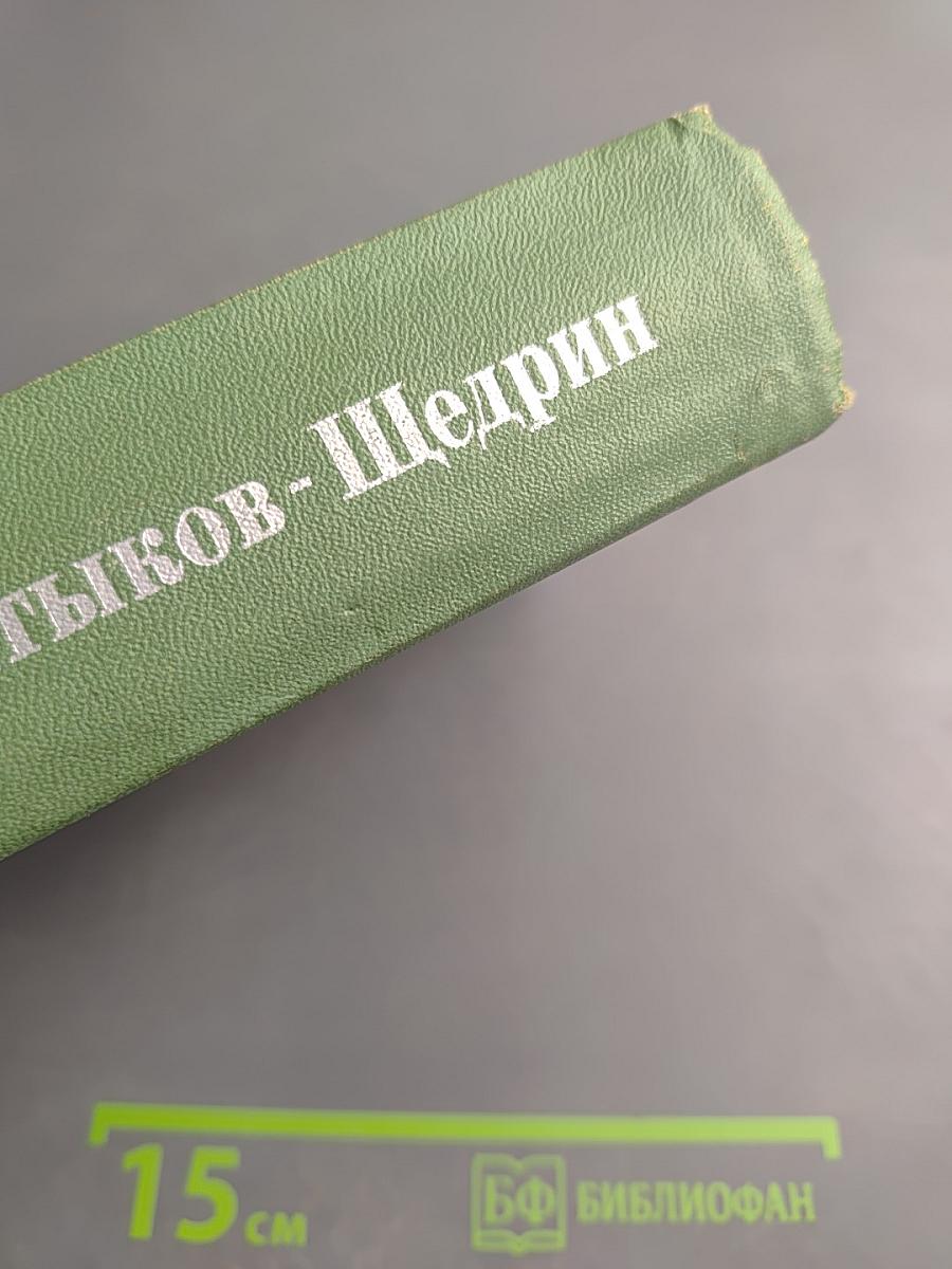 История одного города. Господа Головлевы. Сказки