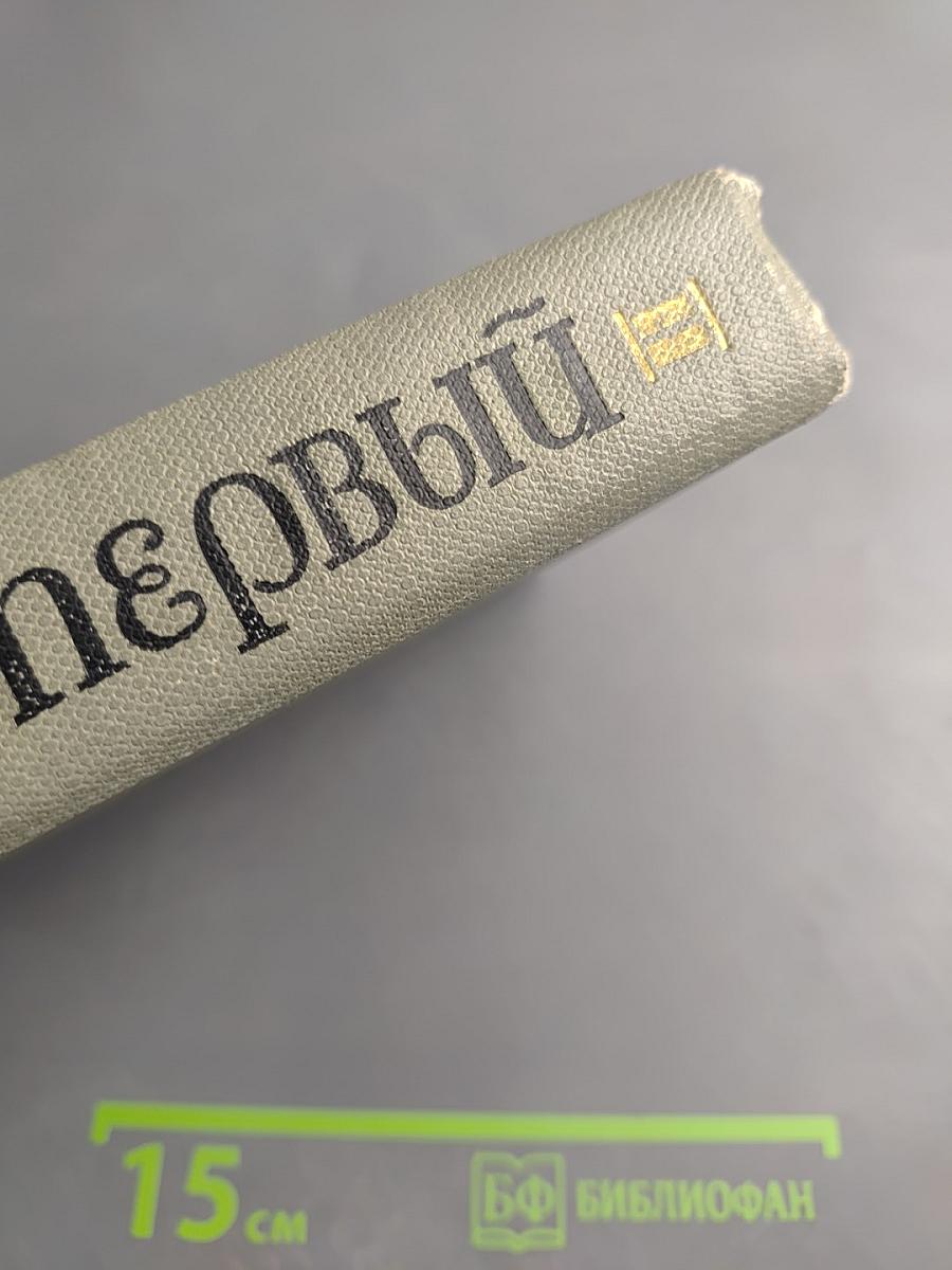 Петр Первый. Том второй