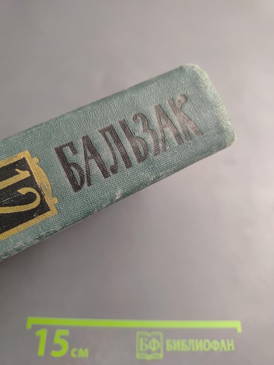 Этюды о нравах. Сцены парижской жизни