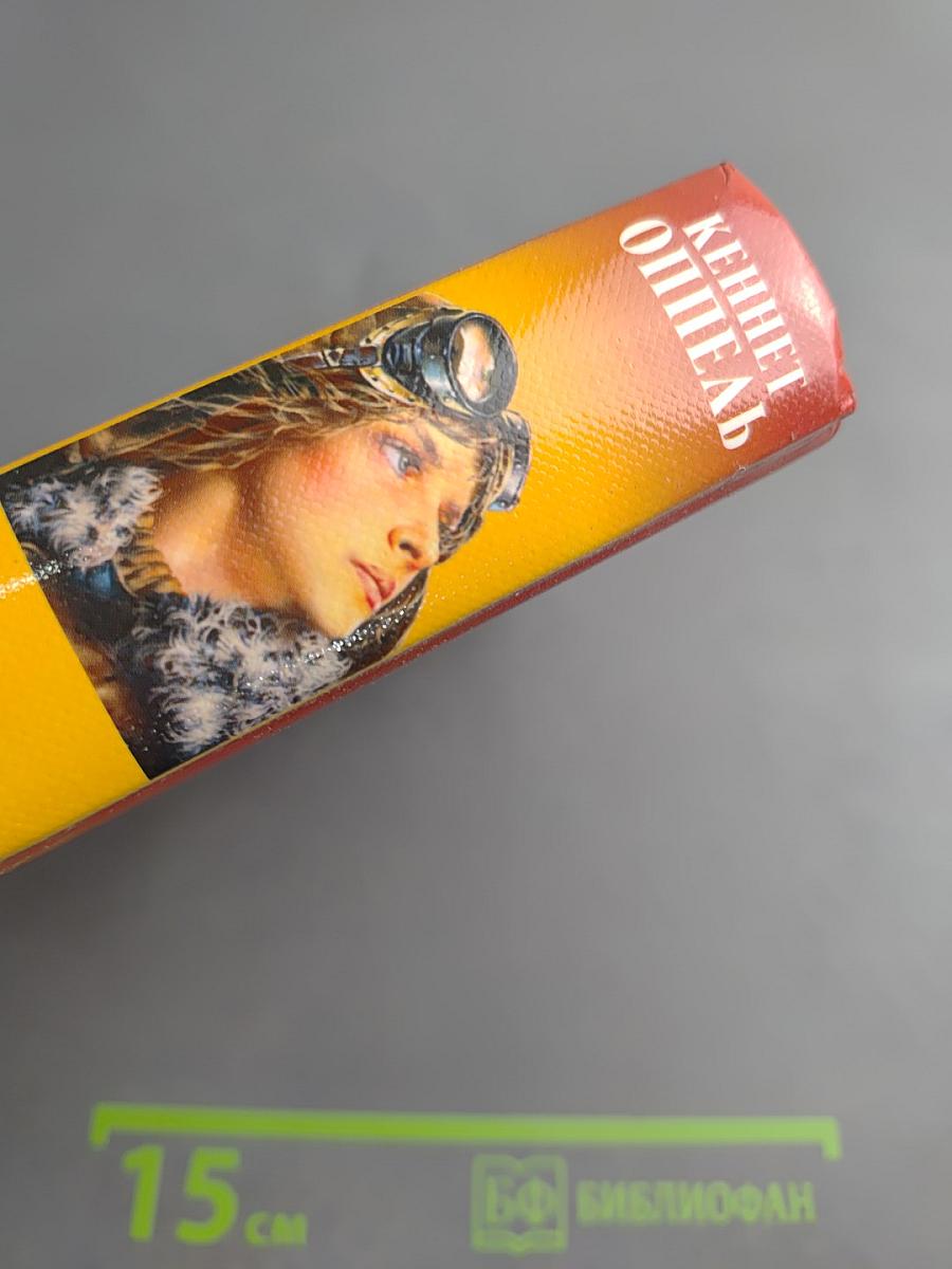 Небесный охотник