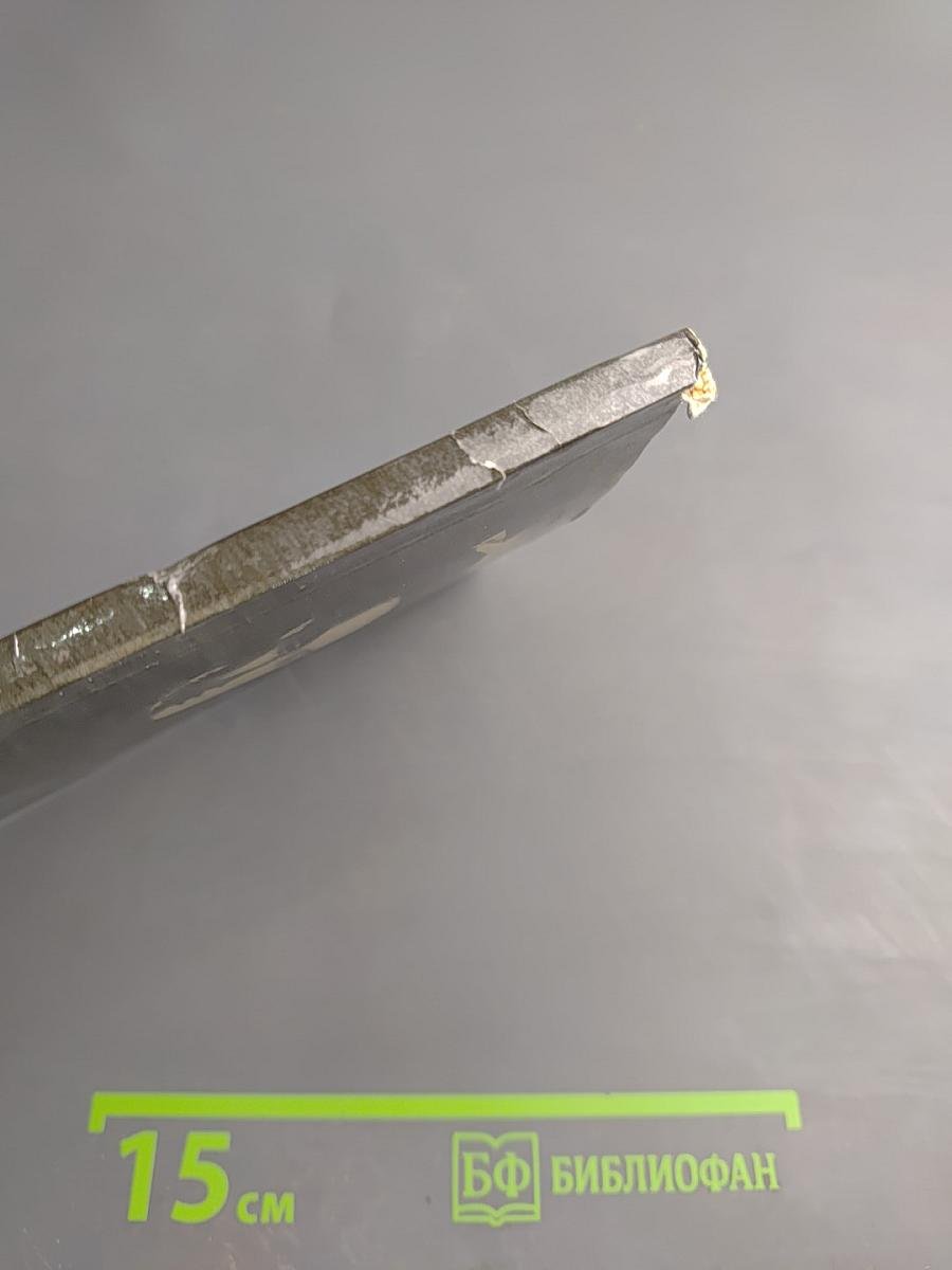 Семнадцать весен Майи