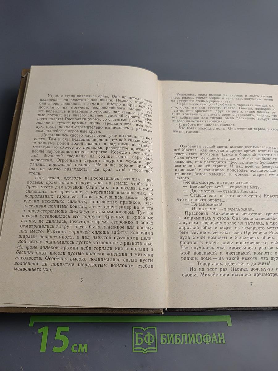 Оряная степь