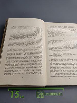 Оряная степь