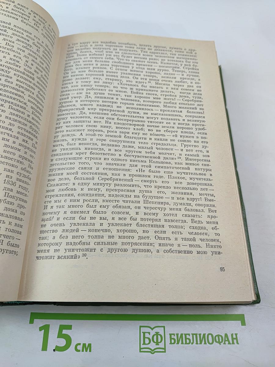 Собрание сочинений В. Г. Белинского. Том восьмой