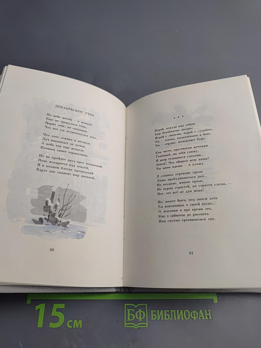 Ф.И. Тютчев, А.А. Фет. Стихотворения